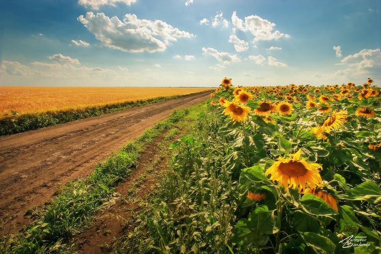 Автобус| На праздник Божоле: в гости к винодельческой традиции