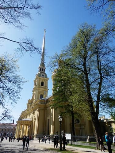 В Петербург с детьми Лайт!