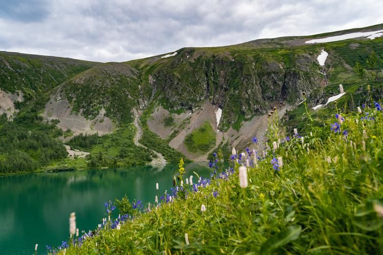 Лёгкий путь к дикой природе