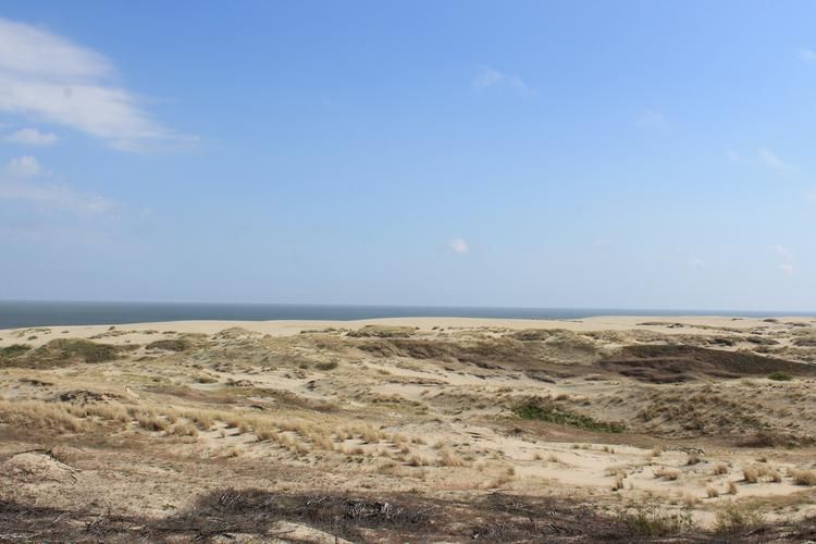 Уютный Калининград