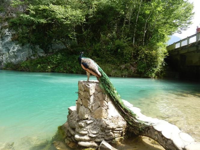 Абхазия: когда природа играет