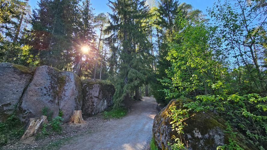 Усадебные сокровища выборга