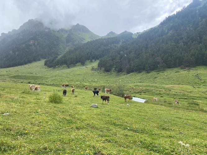 Путешествие по Кавказским Минеральным Водам: музеи, источники и водопады