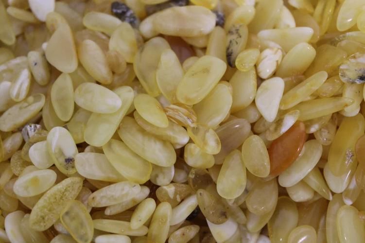 Янтарный край: знакомство с Калининградом