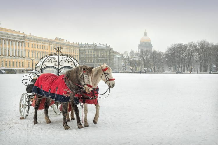 Автобус| Петербург под снежком: Новый год в сказке из Казани