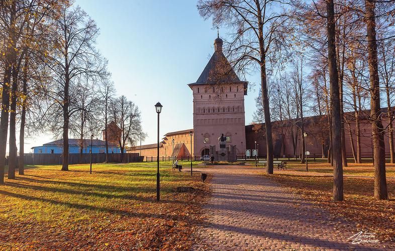 Сокол, лев и камень: путь через историю