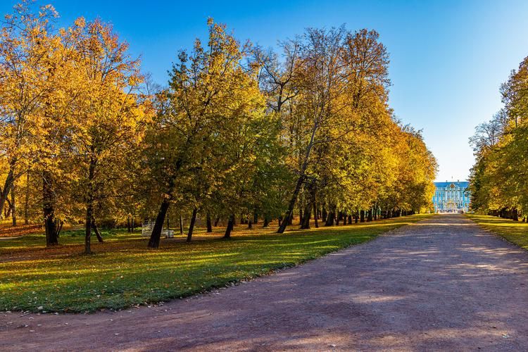 Императрица ждёт: уют в роскоши и традициях