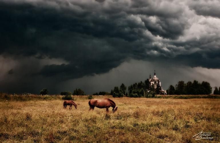 Царь ушёл. Но его тень всё ещё гуляет по Екатеринбургу — и хочет, чтобы ты её заметил