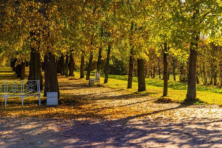 Многоликий Петербург: от парадных ансамблей до сокровенных мест