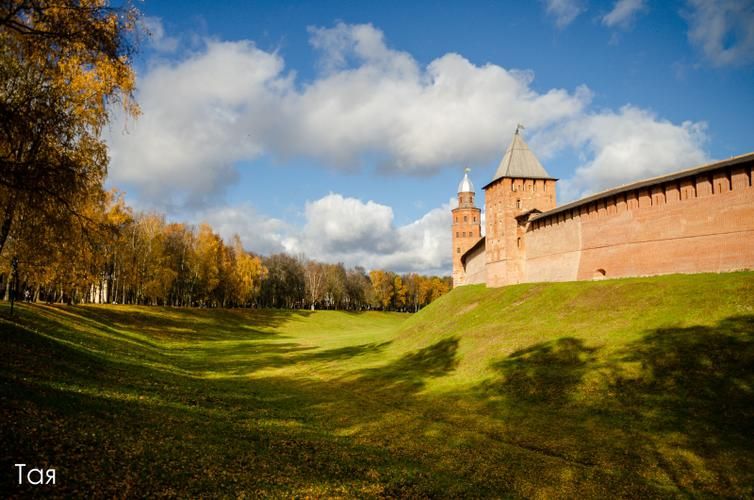 Там, где тишина — главный экспонат