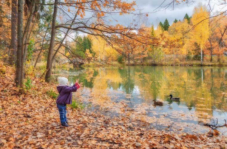 Шкатулка вкусов: осетр, сыр и волшебство на блюде