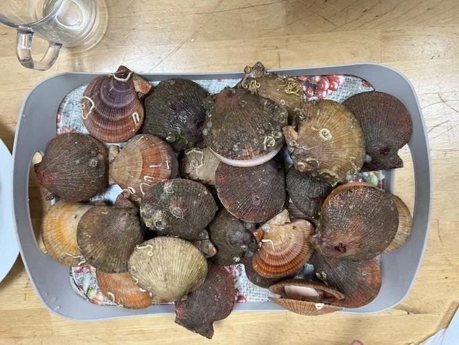 День рыбака: Мурманск зовёт!