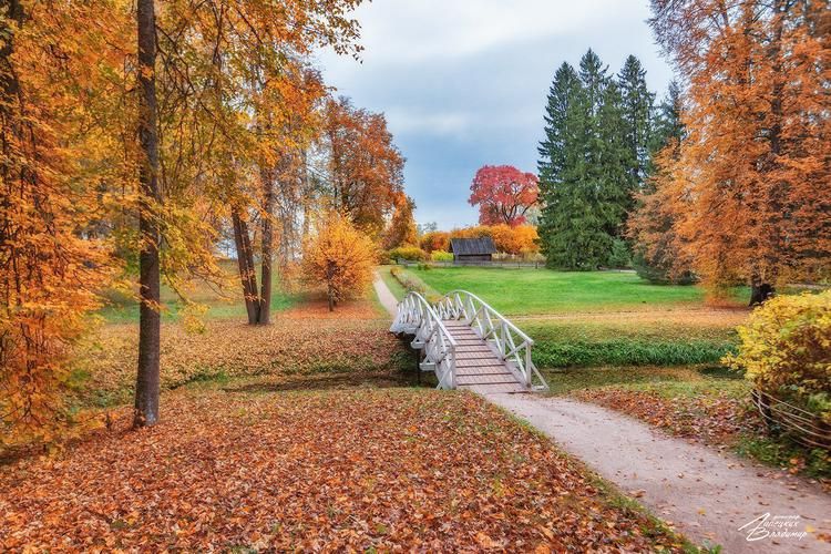 Автобус| Пушкинские горы: путешествие в мир поэзии и красоты