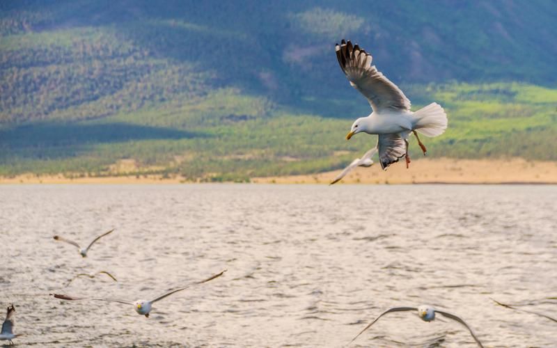 Автобус| Арктическая сказка: Мурманск ждет из Нижнего Новгорода