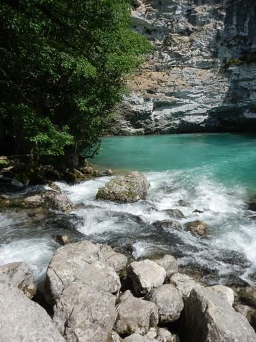 Новогоднее путешествие в гостеприимную Абхазию
