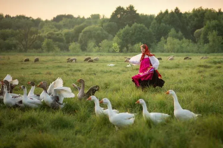 Автобус| Сердце Пармы — исток Камы: юбилейное путешествие из Воронежа