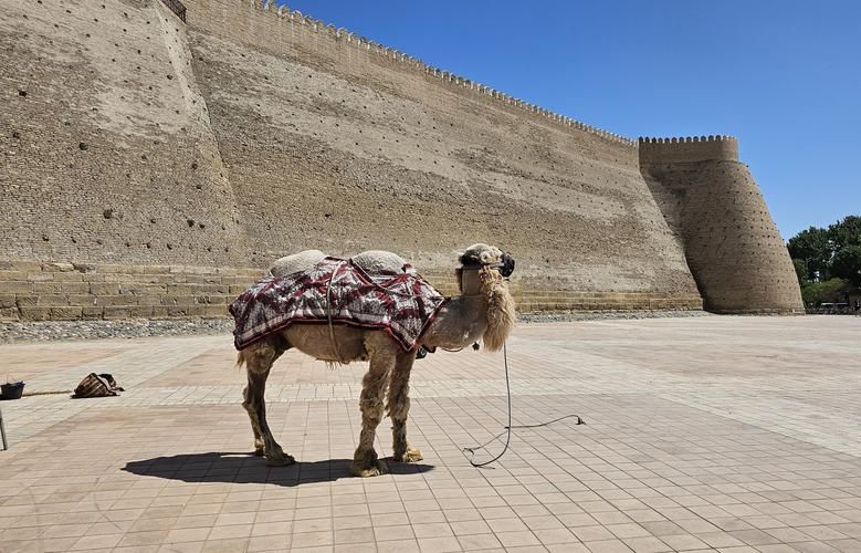Сон Шехерезады на Новый год