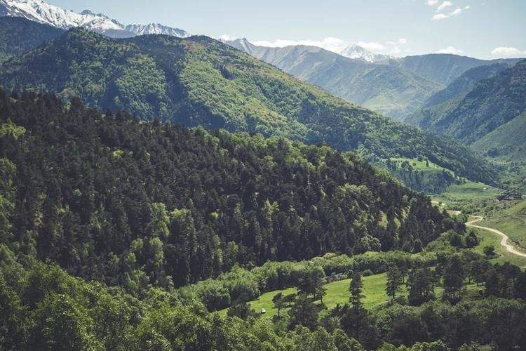 Насыщенные дни в Адыгее