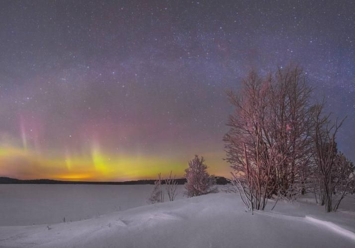 Автобус| Где море поёт, а пузырьки — шепчут сказки из Воронежа