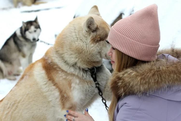 Новогоднее путешествие по Карелии
