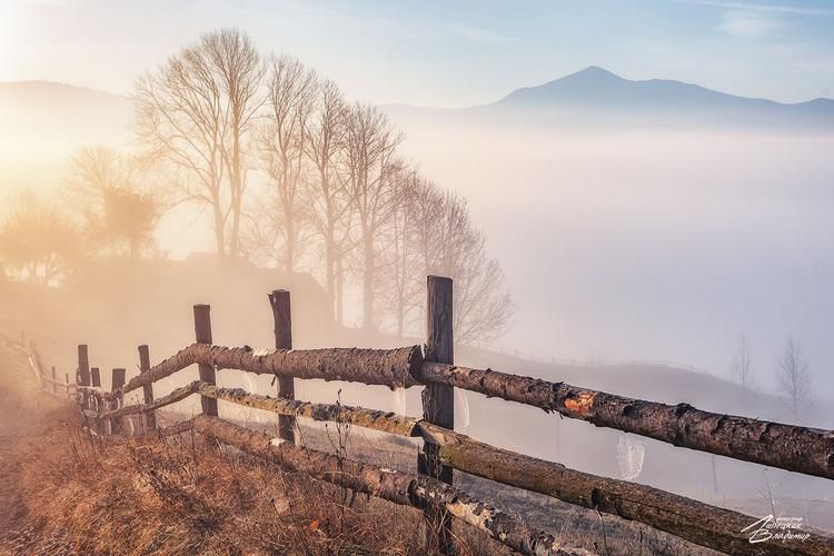 Открой сердце Алтаю