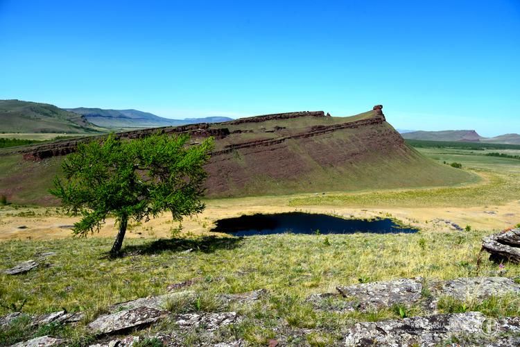 Камчатка в цветах: не просто дикая — яркая